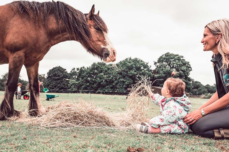 Childcare Bedfordshire