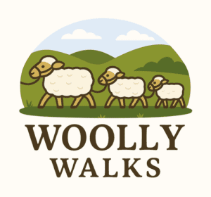 Woolly Walks - Sheep Walking Experience Bedfordshire